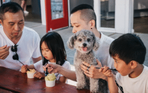 How to Be a Dog-Friendly Destination Without the Dirty Work